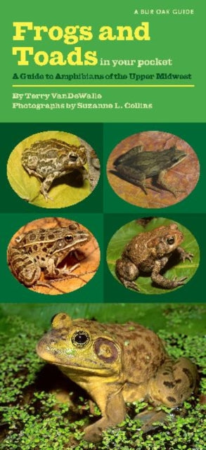 Book cover of: Frogs and Toads in Your Pocket