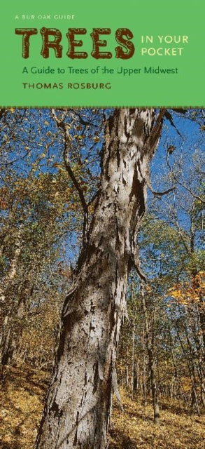 Book cover of: Trees in Your Pocket