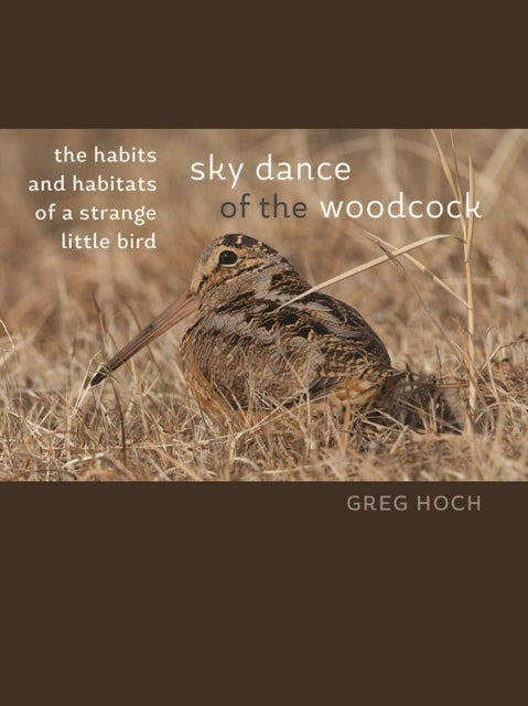 Book cover of: Sky Dance of the Woodcock. By: Greg Hoch
