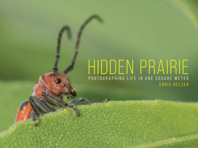 Book cover of: Hidden Prairie. By: Chris Helzer