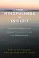 From Mindfulness to Insight