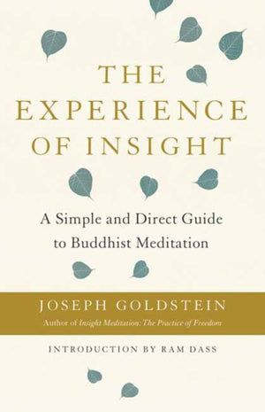 Experience of Insight