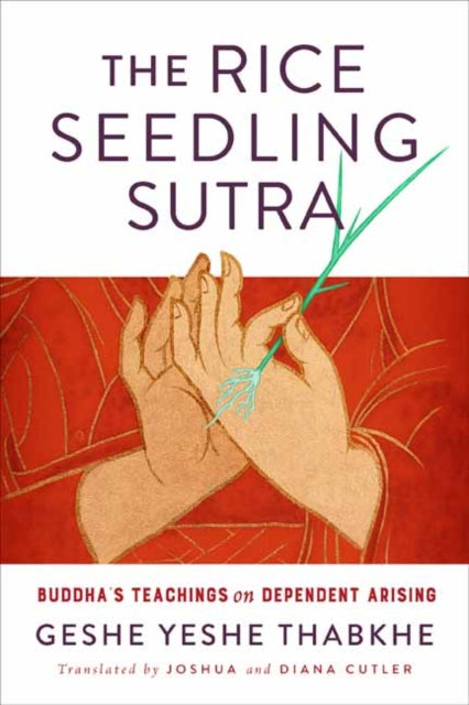 Book cover of: Rice Seedling Sutra. By: Yeshe Thabkhe