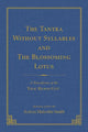 Book cover of: Tantra Without Syllables (Volume 3) and The Blazing Lamp Tantra (Volume 4). By: Malcolm Smith