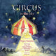 Book cover of: Circus In The Sky. By: Nancy Guettier