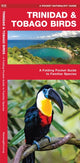 Book cover of: Trinidad & Tobago Birds. By: James Kavanagh