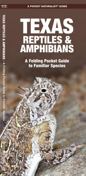 Texas Reptiles & Amphibians