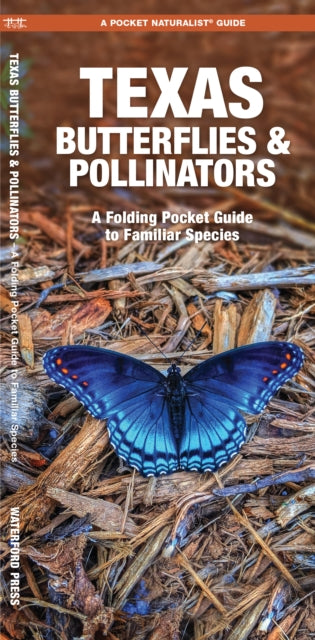 Book cover of: Texas Butterflies & Pollinators. By: James Kavanagh