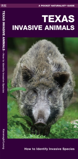 Book cover of: Texas Invasive Animals. By: James Kavanagh