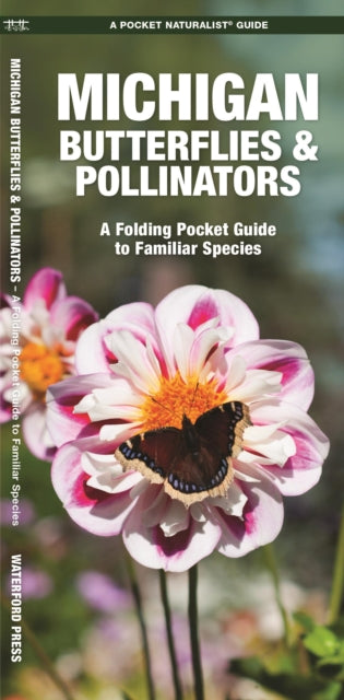 Book cover of: Michigan Butterflies & Pollinators. By: James Kavanagh