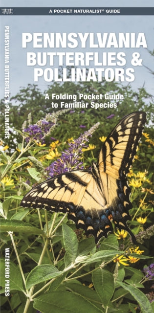 Book cover of: Pennsylvania Butterflies & Pollinators. By: James Kavanagh