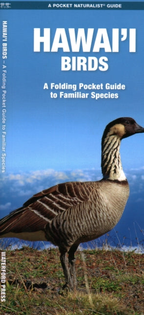 Book cover of: Hawai'i Birds. By: Waterford Press