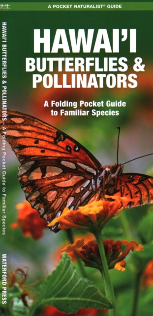 Book cover of: Hawai'i Butterflies and Pollinators. By: Waterford Press