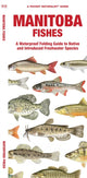 Book cover of: Manitoba Fishes. By: Waterford Press