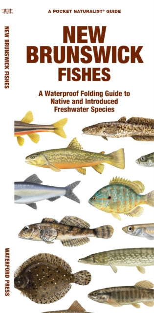 Book cover of: New Brunswick Fishes. By: Waterford Press