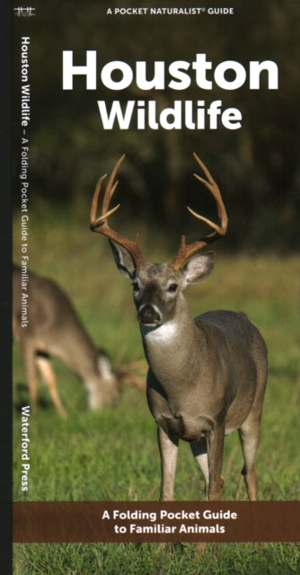 Book cover of: Houston Wildlife. By: Waterford Press