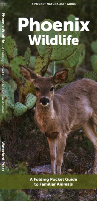 Book cover of: Phoenix Wildlife. By: Waterford Press