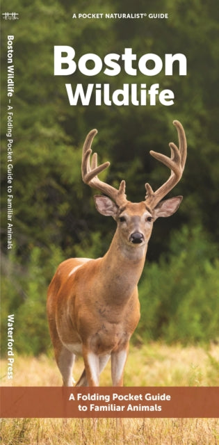 Book cover of: Boston Wildlife. By: Waterford Press