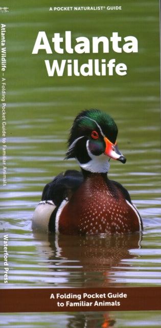 Book cover of: Atlanta Wildlife