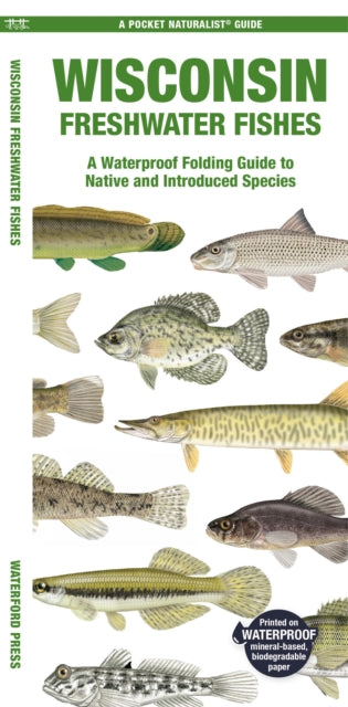 Book cover of: Wisconsin Freshwater Fishes. By: Waterford Press