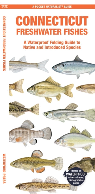 Book cover of: Connecticut Freshwater Fishes. By: Waterford Press Staff