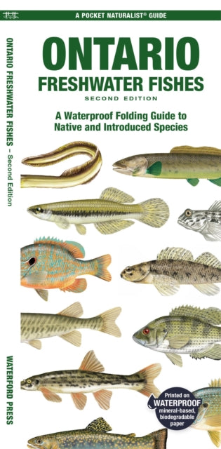 Book cover of: Ontario Freshwater Fishes. By: Matthew Morris