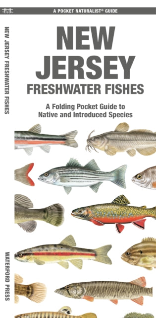 Book cover of: New Jersey Freshwater Fishes. By: Matthew Morris