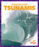 Book cover of: Tsunamis. By: Cari Meister