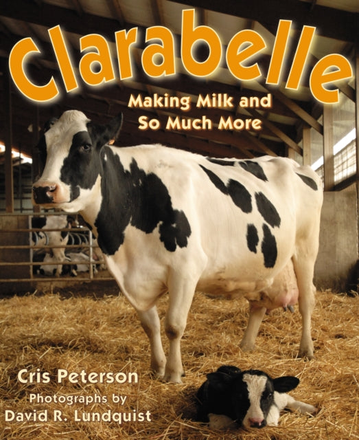 Book cover of: Clarabelle. By: Cris Peterson