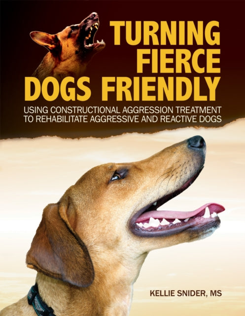 Book cover of: Turning Fierce Dogs Friendly. By: Kellie Snider