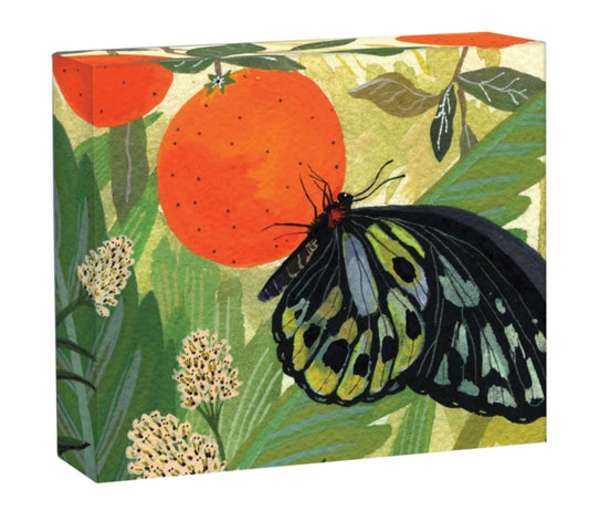 Book cover of: Butterflies QuickNotes. By: STADTLANDER