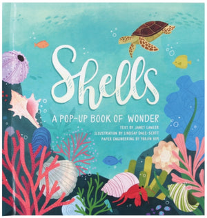Shells, A Pop-Up Book of Wonder