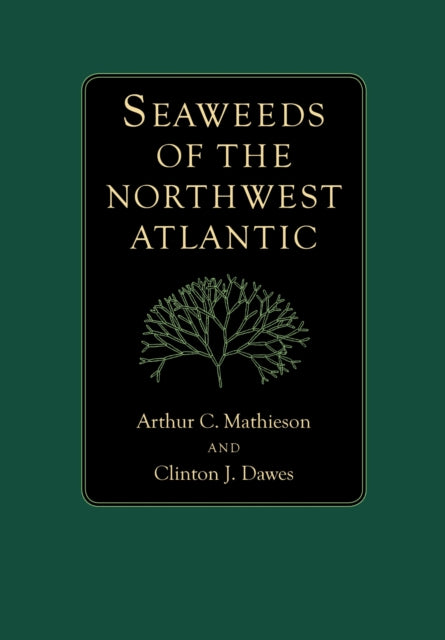 Seaweeds of the Northwest Atlantic