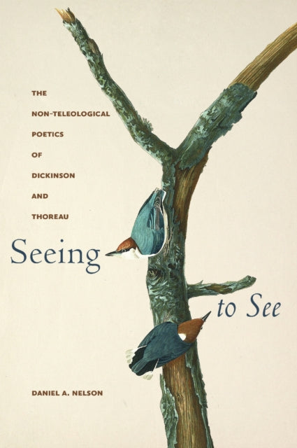 Book cover of: Seeing to See. By: Daniel A. Nelson