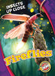Book cover of: Fireflies. By: Christina Leaf