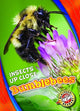 Book cover of: Bumblebees. By: Patrick Perish