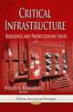 Book cover of: Critical Infrastructure. By: Wesley A. Bernardes
