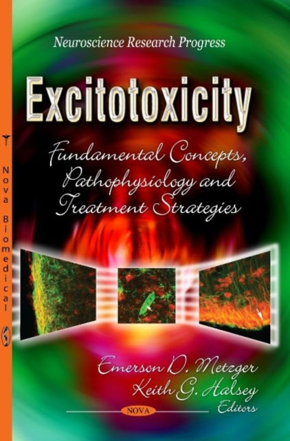 Book cover of: Excitotoxicity. By: Emerson D. Metzger