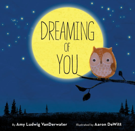Book cover of: Dreaming of You. By: Amy VanDerwater