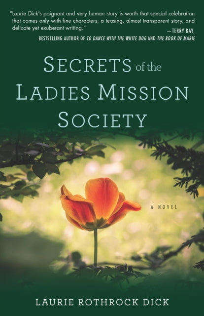 Book cover of: Secrets of the Ladies Mission Society. By: Laurie Rothrock Dick