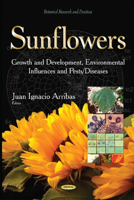 Book cover of: Sunflowers. By: Juan Ignacio Arribas