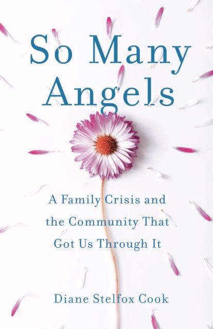Book cover of: So Many Angels. By: Diane Stelfox Cook