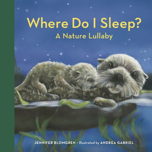 Book cover of: Where Do I Sleep?. By: Jennifer Blomgren