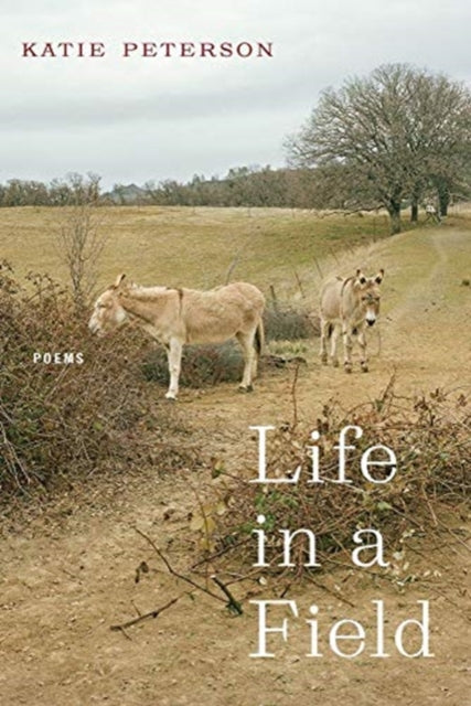 Book cover of: Life in a Field – Poems. By: Katie Peterson