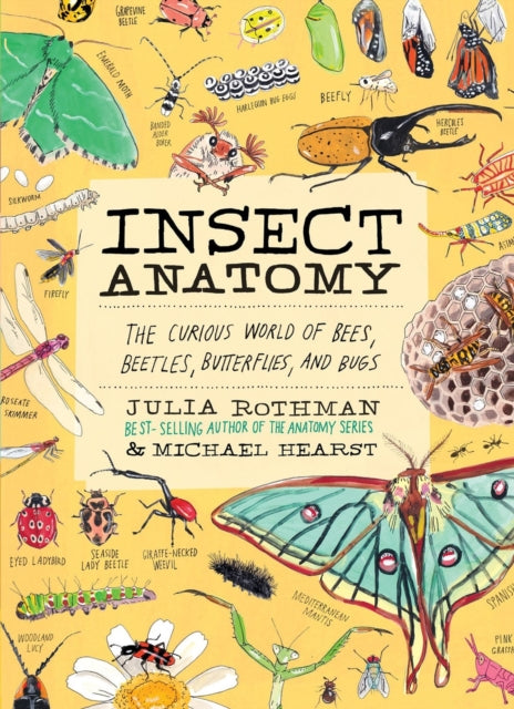 Book cover of: Insect Anatomy. By: Julia Rothman