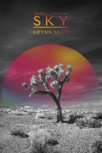 Book cover of: Under a Future Sky. By: Brynn Saito