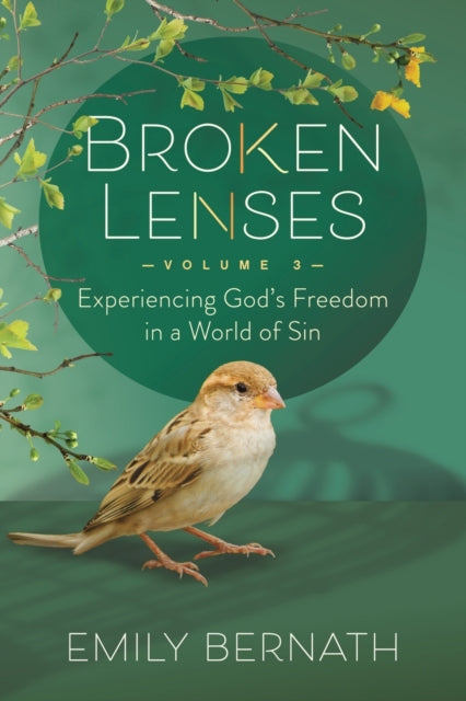 Book cover of: Broken Lenses, Volume 3