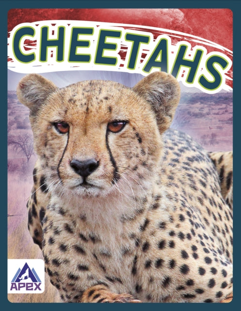Book cover of: Cheetahs. By: Sophie Geister-Jones