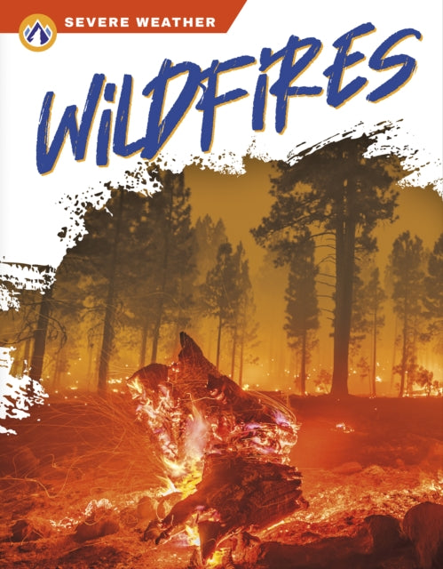Book cover of: Wildfires. By: Candice Ransom