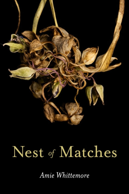 Book cover of: Nest of Matches. By: Amie Whittemore